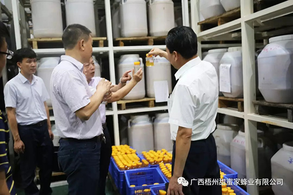 广西梧州甜蜜家蜂业有限公司