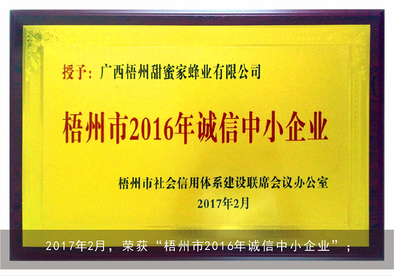 2017年2月，荣获“梧州市2016年诚信中小企业”