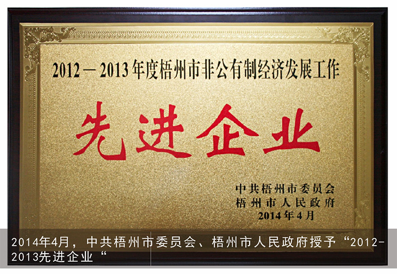 2014年4月，中共梧州市委员会、梧州市人民政府授予“2012-2013先进企业”